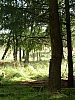 DSCN5879r.jpg DSCN5879r.jpg